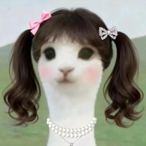 11111111的抖音 - 抖音