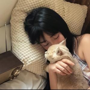 土豆炖牛肉.头像