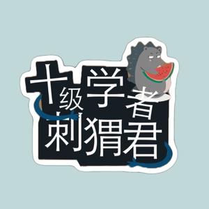 十级学者刺猬君头像