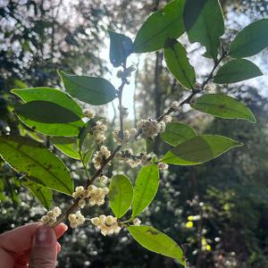 用户11251750798头像