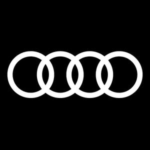 一汽奥迪四川华星名仕羊西店头像