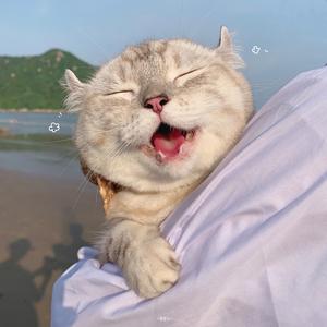 🌈带你去海边头像