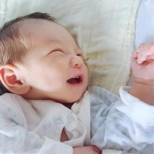 🐰呼噜的足迹🐾头像