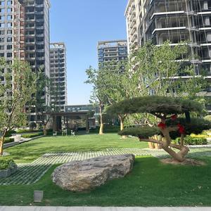 海棠壹品-名扬 一米八三头像