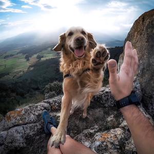 炫炫的炫炫：）头像