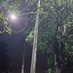 陈同学👨‍🎓头像
