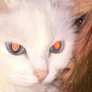 路洲烙娇💫（要发财💰）头像