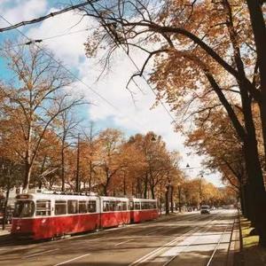 桂里庆余生头像