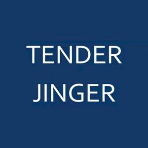 Tender Jinger-直播返场头像