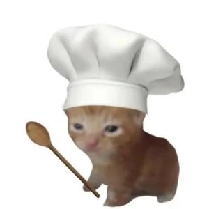 有点小猫饼头像