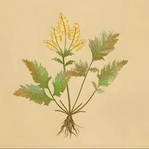 猫猫日记本头像