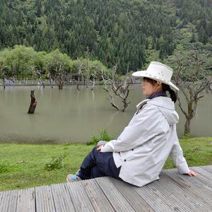 月下的香樟树头像