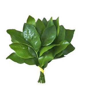 让我发财，让我暴富吧头像