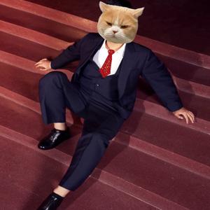 小陈小陈 满眼星辰🐈头像