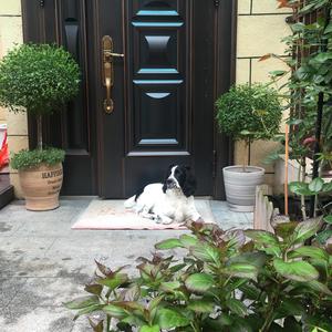 史派克麻麻头像