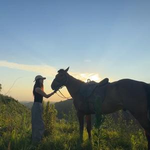 溧阳追风马术俱乐部官方号头像