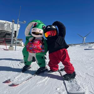 王二树🌲（武士团）崇礼教学头像