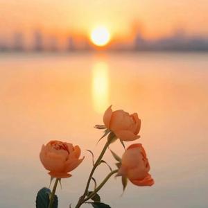 小谈啊……头像