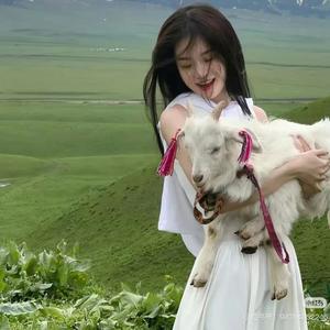 小丸子呀🦋头像