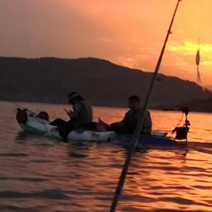 鱼？渔？娱？头像