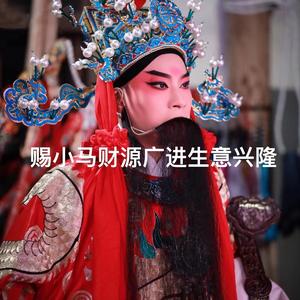 丽水买房找小马🐎头像