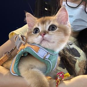 夸夸我啦（记录咪）头像