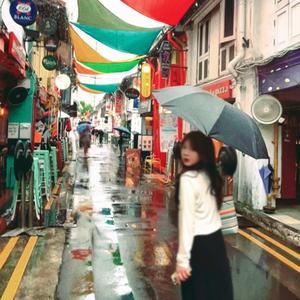 一只胡萝卜🥕头像