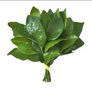 遇见你真好头像