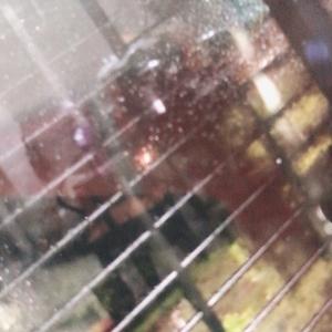 t s d ti di头像