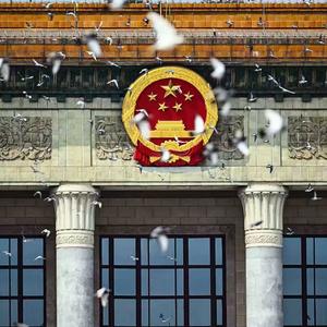 钰见「倪」不容易头像