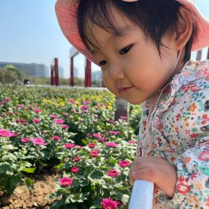 打爆你的秃头头像