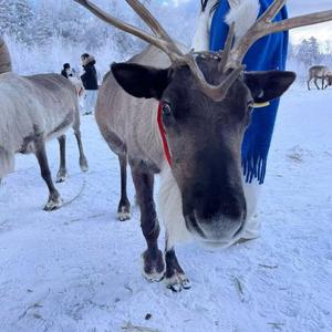 小豪-长白山延边旅游推荐头像