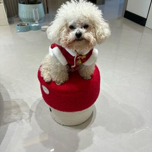 🔥大宝🔥头像