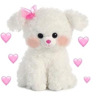 酒酿樱桃子💨头像