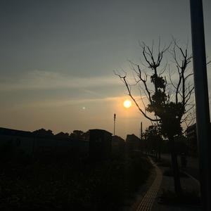 喜欢坏天气头像