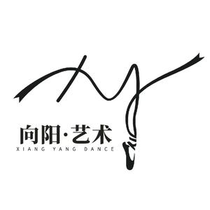 向阳艺术🌻头像