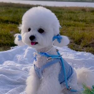 饼干来了🍪头像