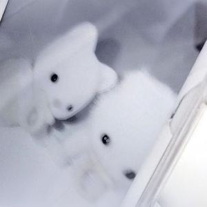 请勿投喂过期猫条头像