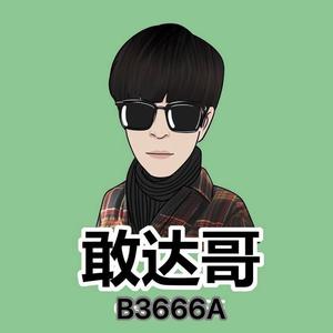 敢达哥拆车音响店头像