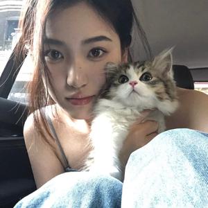 悲伤玉米豆🌽头像