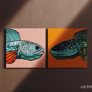 飞飞爱养鱼头像