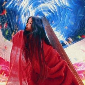 森蝶AI视界头像