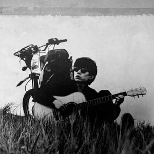 X IX🦔🕊️💰头像