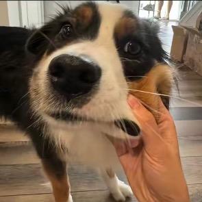 性格不好脾气差头像