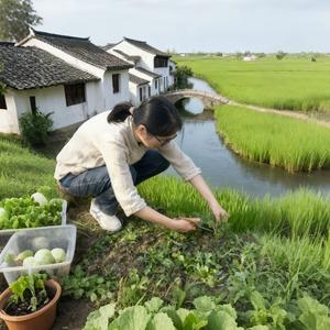 阳羡小陈妈头像