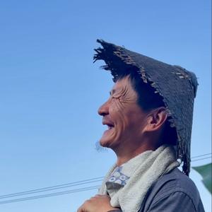 老牛（信阳毛尖）头像