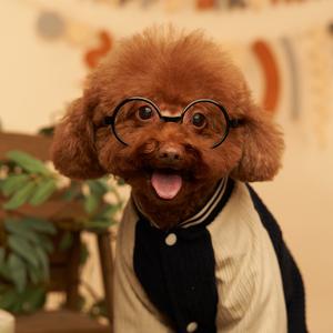 Moli是只汪🐶头像