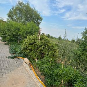 天天学数学头像