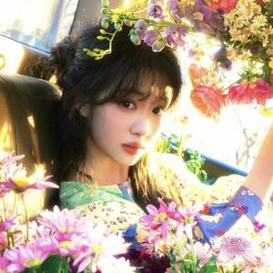 会吐丝的吐司头像