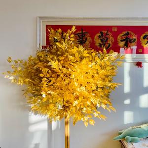 河北阿云一家头像